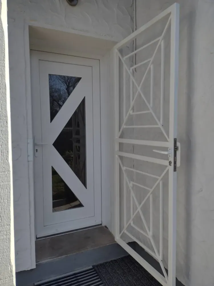 Réalisation et pose de grille de défense acier (1webp